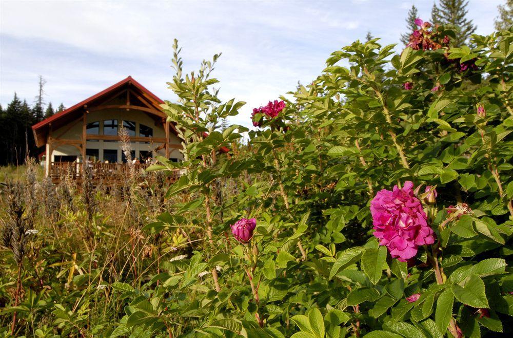 Heather Mountain Lodge Rogers Pass Zewnętrze zdjęcie